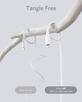 Anker 641 USB-C to Lightning Cable (Flow, Silicone) - detail view | Silarius