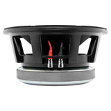PANCADÃO Mid-Bass Loudspeaker 10' 1500 Watts Rms 8-Ohm - detail view | Silarius