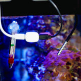 Shelly Temp. Sensor DS18B20 3.5mm jack