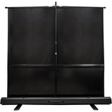 Elite Screens F135NWH ezCinema Series MaxWhite 135" 16:9 4K Ultra HD Manual Pull up Portable Projector Screen