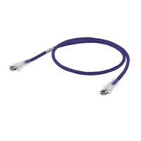 Hubbell HC6P75 NEXTSPEED CAT6 Patch Cord, Slim, 75', Purple