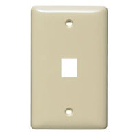 Hubbell NSP11I Wall Plate Label-Less -G 1-Port EI and Keystone Plates