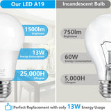 Led Light Bulbs, 100 Watt Equivalent Led Bulbs, Daylight White 5000K, 1500Lm, E2