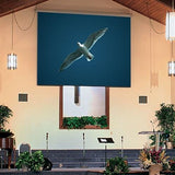 Draper 116369 123" Targa Electric Projection Screen, 16:10, Matte White