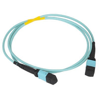 ICC ICFOJATQ05 NCNR 12-Fiber Jumper, MTP-MTP, Multimode, 50/125 OM4