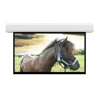Da-Lite 36981L 243" Advantage Series Electric Ceiling Recessed Projection Screen, 16:9 HDTV, Non-Tensioned, TAA Compliant, Matte White