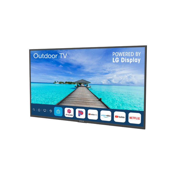Peerless-AV NT653 65" Neptune Partial Sun Series 4K HDR Outdoor Smart TV and Outdoor Tilting Wall Mount
