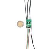 Shelly Uni