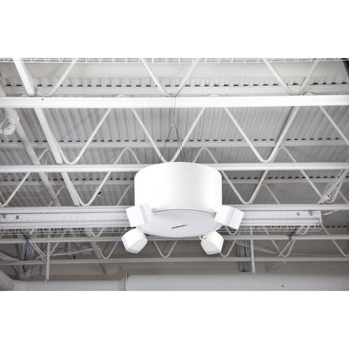 Bose Professional 37084 FreeSpace Omni Pendant-Mount Kit for Select Loudspeakers (Single, White)