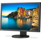 NEC P243W-BK Professional sRGB Gamut 24" 16:10 IPS Monitor