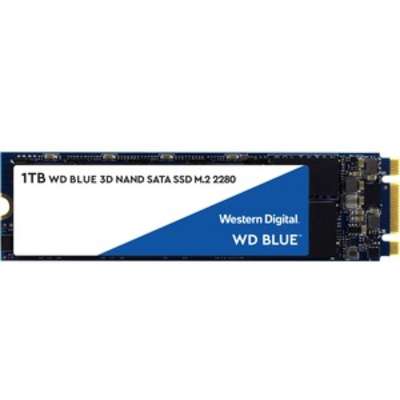 WD Blue 1TB WDS100T2B0B 3D NAND SATA III M.2 2280 Internal SSD